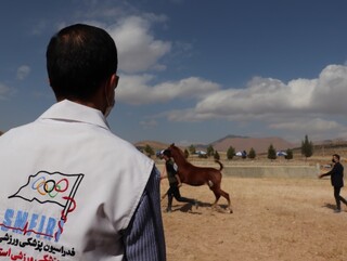 پوشش پزشکی جشنواره زیبایی اسب  فارس توسط هیات پزشکی ورزشی استان