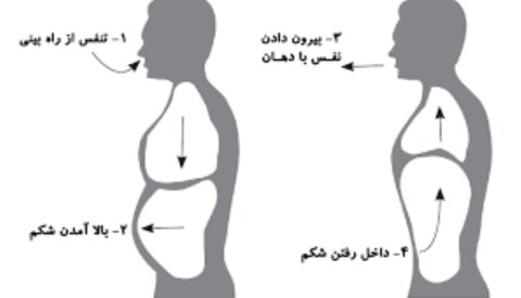 حرکات اصلاحی تنفس دیافراگمی